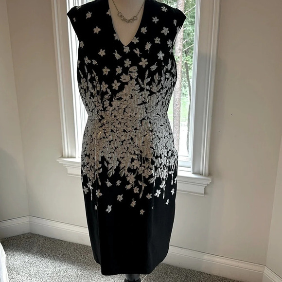 Frank Lyman Design Dresses & Skirts - Gorgeous NWT Frank Lyman Cap Sleeve Dress, Size 10